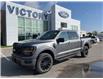 2025 Ford F-150 XLT (Stk: VF1F00885) in Chatham - Image 22 of 22