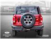 2025 Ford Bronco Big Bend (Stk: 250504) in Toronto - Image 4 of 24