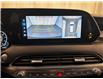 2021 Hyundai Palisade  (Stk: 267745) in Lethbridge - Image 20 of 34