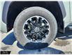 2024 Toyota Tundra SR (Stk: 25150A) in Smiths Falls - Image 6 of 25