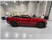 2013 Ford Shelby GT500 Base (Stk: 248465) in Watford - Image 11 of 31