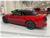 2013 Ford Shelby GT500 Base (Stk: 248465) in Watford - Image 16 of 31