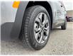 2025 Kia Seltos EX (Stk: 4-P299) in Bowmanville - Image 11 of 37
