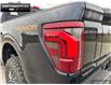 2025 Ford F-150 Tremor (Stk: 5F108301) in Brantford - Image 9 of 23