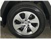 2021 Toyota RAV4 LE (Stk: 42407J) in Belleville - Image 22 of 24