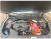 2025 Kia Sorento Hybrid EX (Stk: 25148) in Petawawa - Image 15 of 33
