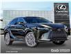2025 Lexus RX 350 Base (Stk: 25475) in Toronto - Image 1 of 24
