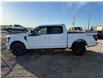 2025 Ford F-150 XLT (Stk: 25DFT023) in Drayton Valley - Image 4 of 14