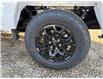 2025 Ford F-150 XLT (Stk: 25DFT023) in Drayton Valley - Image 14 of 14