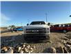 2025 Ford F-250 King Ranch (Stk: 25DFT037) in Drayton Valley - Image 3 of 15