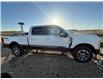 2025 Ford F-250 King Ranch (Stk: 25DFT037) in Drayton Valley - Image 6 of 15