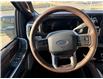 2025 Ford F-250 King Ranch (Stk: 25DFT037) in Drayton Valley - Image 11 of 15