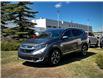 2017 Honda CR-V Touring (Stk: 250590C) in Calgary - Image 5 of 23
