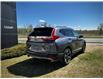 2017 Honda CR-V Touring (Stk: 250590C) in Calgary - Image 3 of 23