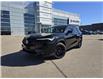 2025 Acura ADX Platinum Elite A-Spec (Stk: 10095) in Saskatoon - Image 1 of 24