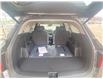 2025 Kia Sorento Plug-In Hybrid EX (Stk: 25149) in Petawawa - Image 16 of 32