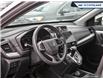 2019 Honda CR-V LX (Stk: 24MA600A) in Newmarket - Image 13 of 25