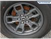 2023 Ford Bronco Sport Big Bend (Stk: 25BS520A) in Newmarket - Image 6 of 26