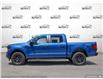 2025 Ford F-150 STX (Stk: FH163) in Sault Ste. Marie - Image 3 of 25