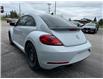 2018 Volkswagen Beetle 2.0 TSI Trendline (Stk: 25201A) in ORILLIA - Image 9 of 10