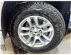 2025 Chevrolet Silverado 1500 RST (Stk: 10491) in Meadow Lake - Image 2 of 15