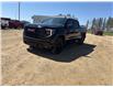 2025 GMC Sierra 1500 Elevation (Stk: 25201) in Rimbey - Image 1 of 13