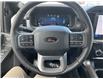 2025 Ford F-150 Lariat (Stk: LFFF00263) in Tilbury - Image 11 of 15