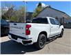 2025 Chevrolet Silverado 1500 RST (Stk: TS201482) in Caledonia - Image 5 of 38