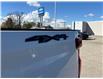 2025 Chevrolet Silverado 1500 RST (Stk: TS201482) in Caledonia - Image 11 of 38