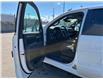 2025 Chevrolet Silverado 1500 RST (Stk: TS201482) in Caledonia - Image 14 of 38