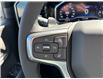 2025 Chevrolet Silverado 1500 RST (Stk: TS201482) in Caledonia - Image 21 of 38