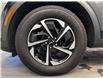 2023 Kia Sportage Hybrid EX (Stk: 15180) in Lethbridge - Image 19 of 20