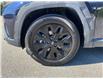 2023 Hyundai Tucson  (Stk: HF6-8228A) in Chilliwack - Image 8 of 19
