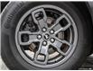 2022 Ford Bronco Sport Big Bend (Stk: 7720A) in St. Thomas - Image 6 of 27