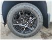 2025 Chevrolet Silverado 1500 RST (Stk: Z202431) in Newmarket - Image 9 of 20