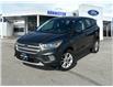 2019 Ford Escape SE (Stk: 57B1518) in Penticton - Image 1 of 19