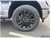 2025 Ford F-150 XLT (Stk: 27125) in Dartmouth - Image 7 of 24