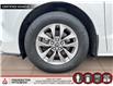 2023 Toyota Sienna LE 8-Passenger (Stk: 251476A) in Fredericton - Image 7 of 16