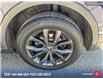 2024 Volkswagen Tiguan Comfortline (Stk: 037512P) in Salmon Arm - Image 6 of 25