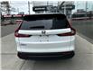 2023 Honda CR-V EX-L (Stk: P12809A) in Toronto - Image 4 of 6