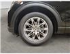 2025 Ford Explorer Active (Stk: 16861) in Wyoming - Image 9 of 15
