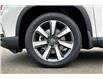2025 Honda Pilot Touring (Stk: 25PL8639) in Campbell River - Image 12 of 14