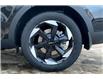 2025 Kia Sorento Hybrid EX (Stk: SSR2824) in Sherwood Park - Image 11 of 13