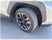2019 Toyota RAV4 Trail (Stk: W283569A) in Cranbrook - Image 23 of 23