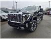 2025 GMC Sierra 2500HD Denali (Stk: T99736) in Cobourg - Image 1 of 13