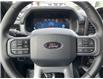 2025 Ford F-150 Lariat (Stk: VF1F00844) in Chatham - Image 15 of 22
