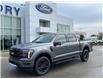 2025 Ford F-150 Lariat (Stk: VF1F00844) in Chatham - Image 22 of 22