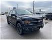 2025 Ford F-150 XLT (Stk: VF1F00877) in Chatham - Image 5 of 21