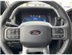 2025 Ford F-150 XLT (Stk: VF1F00877) in Chatham - Image 14 of 21