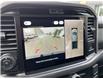 2025 Ford F-150 XLT (Stk: VF1F00877) in Chatham - Image 20 of 21